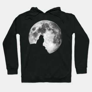 Cat Silhouette on Full Moon Hoodie